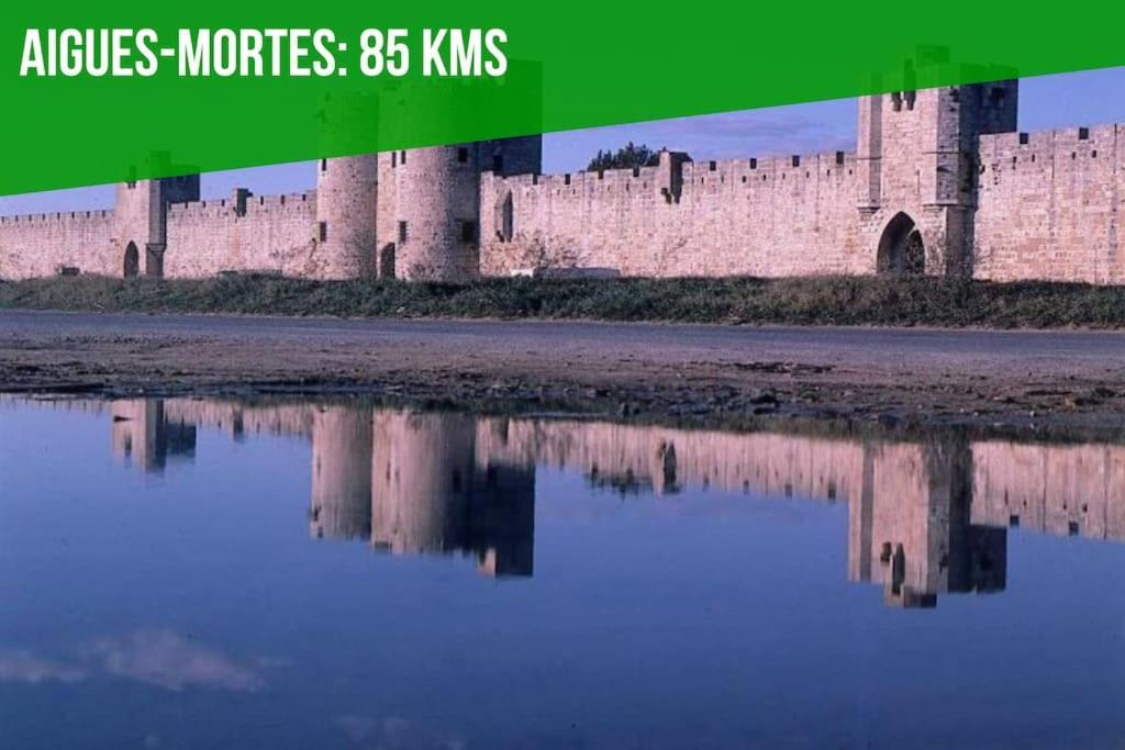 Les Brunes - Wi-Fi - Centre Ville - Proche Theatres Avinyon Dış mekan fotoğraf